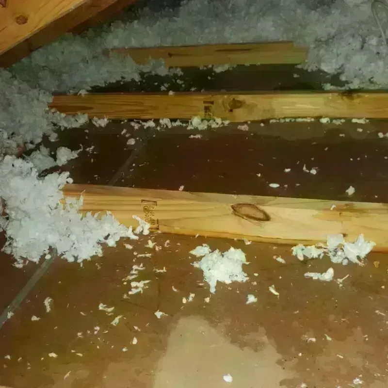 Attic Water Damage in Carthage, TX