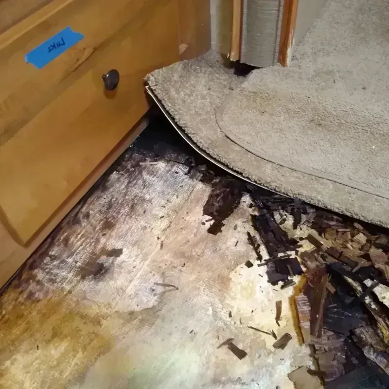 Wood Floor Water Damage in Carthage, TX